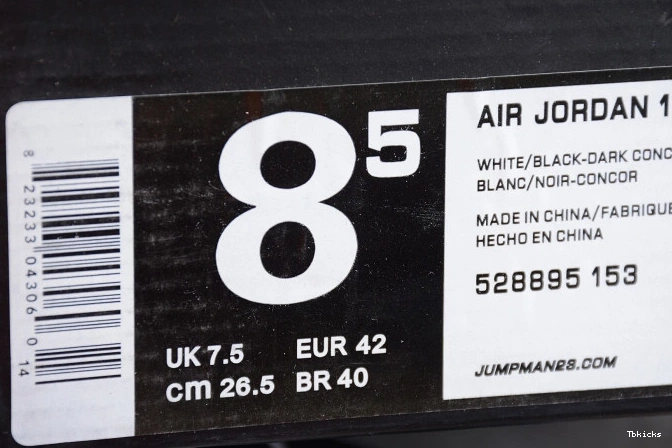 Reps TBK Retro White mens 11 Low 
